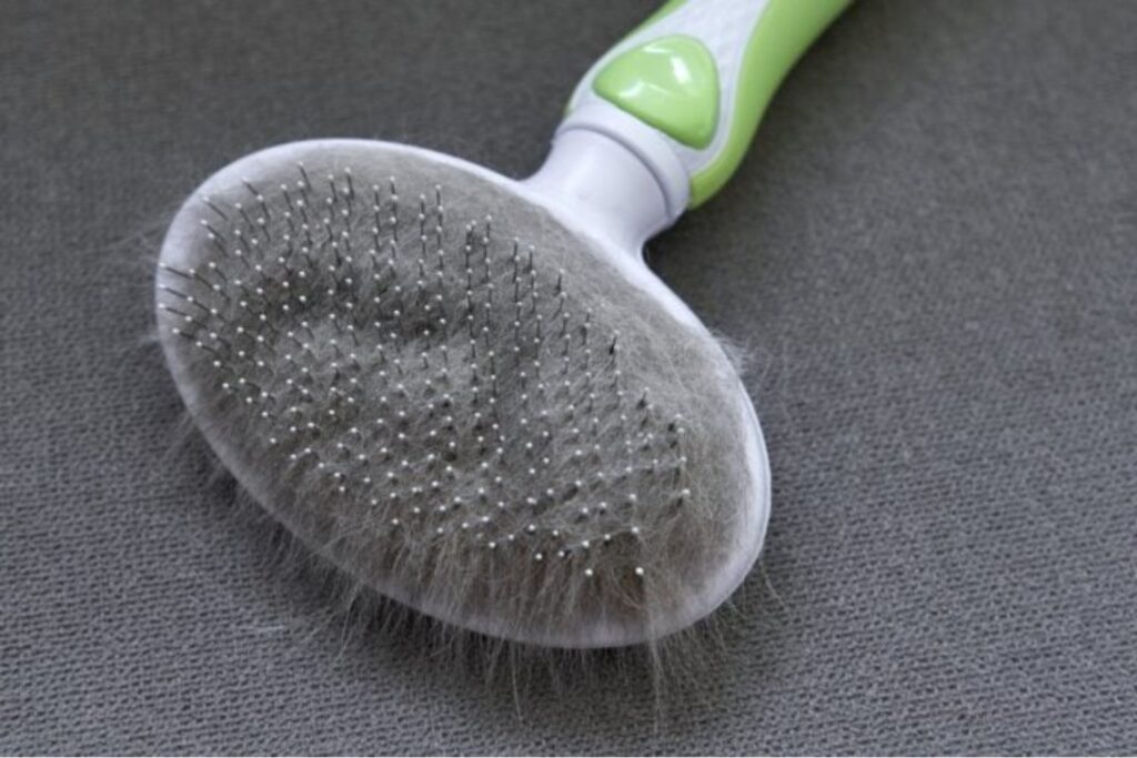 Pelos en el estómago