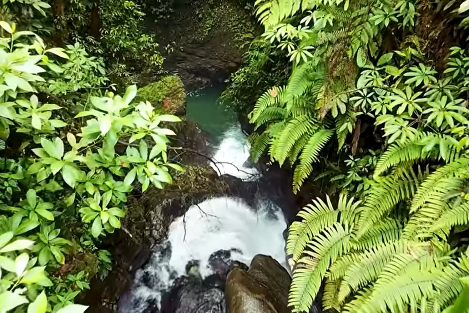 El oriente: la riqueza de la Amazonía ecuatoriana