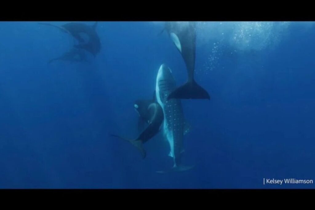 Diseño Sin Título (53)