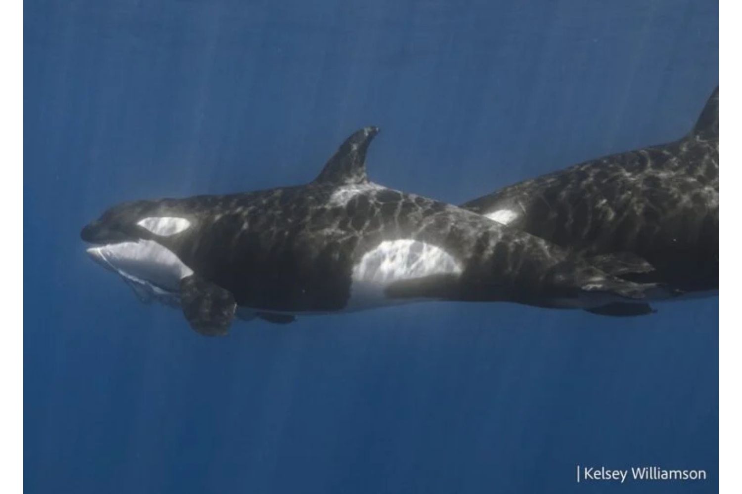 Diseño Sin Título (54)