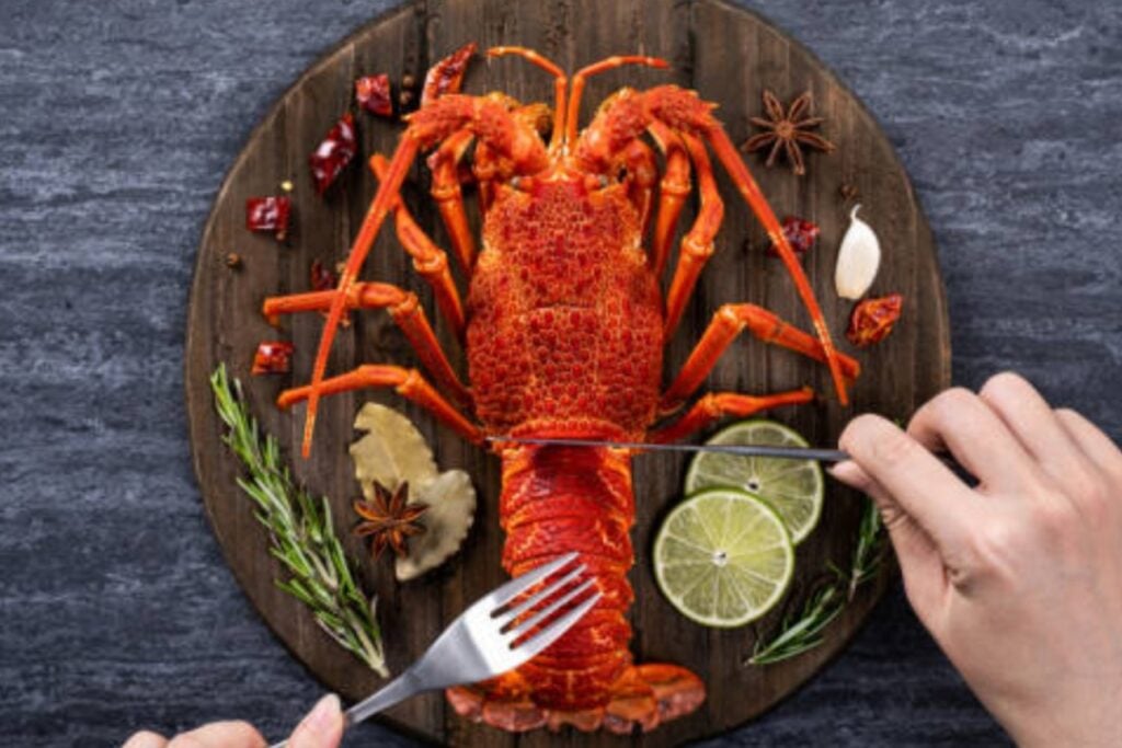 Los cangrejos sienten dolor