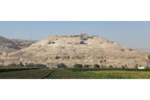 Diseño Sin Título (59)