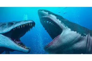 Diseño Sin Título (6)