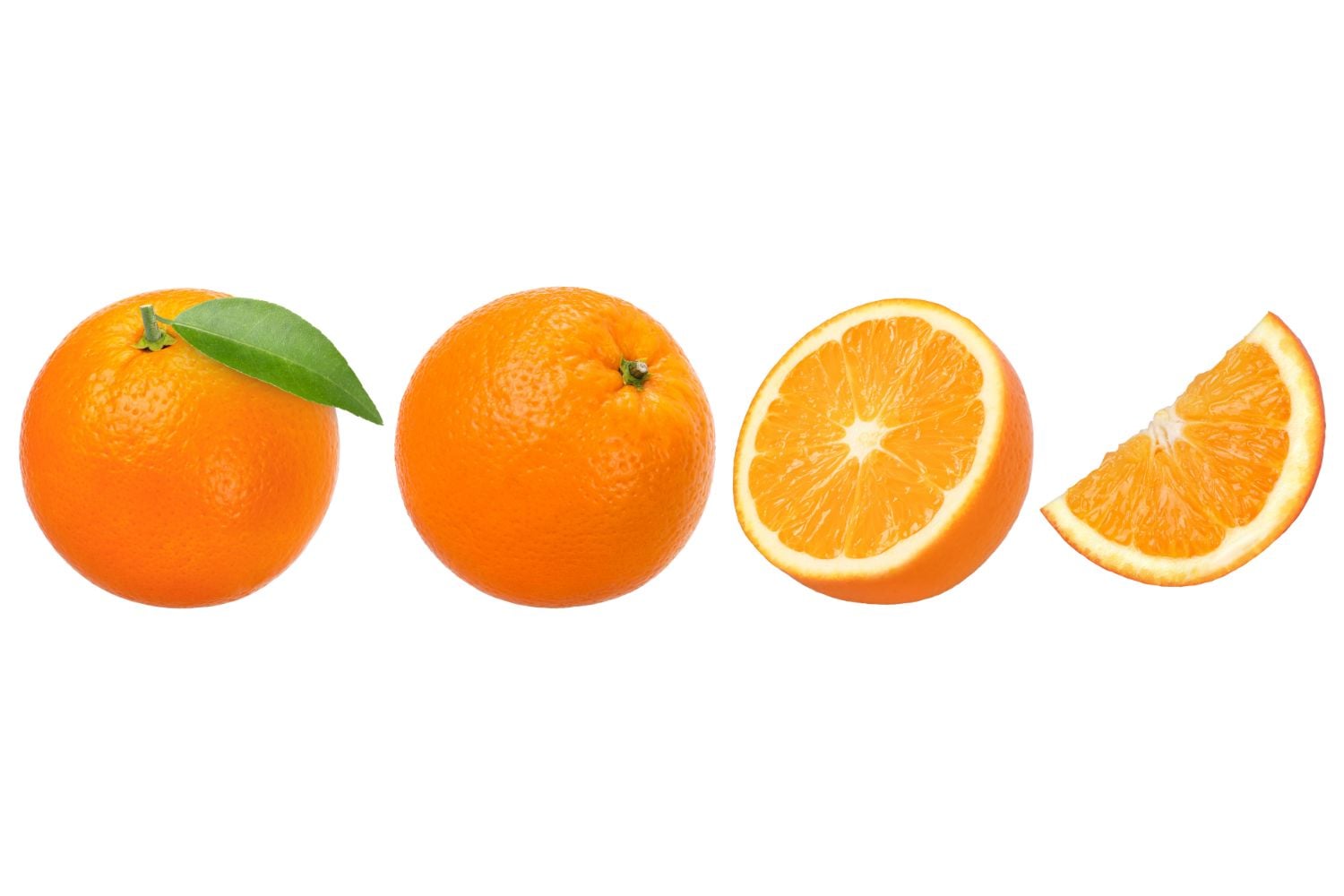 Diseño Sin Título (65)