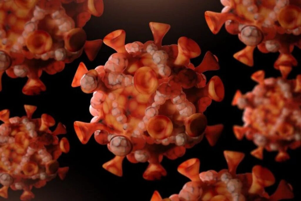 Diseño Sin Título (67)