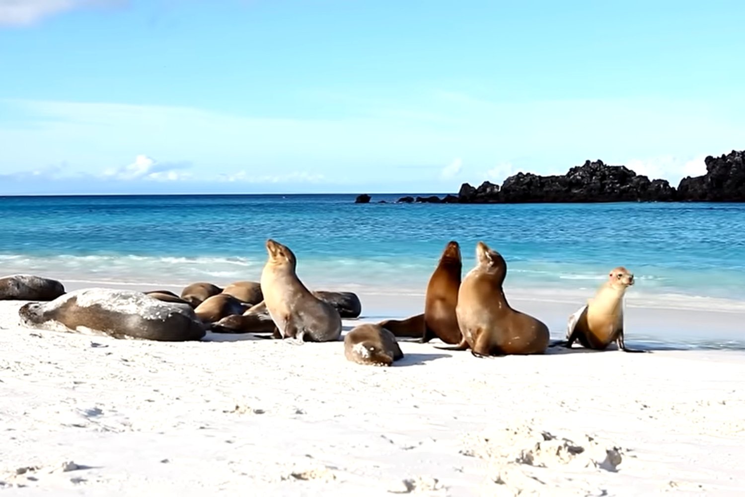 Las Islas Galápagos: un tesoro natural