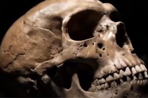 Diseño Sin Título (72)