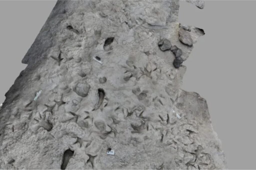 Diseño Sin Título (77)