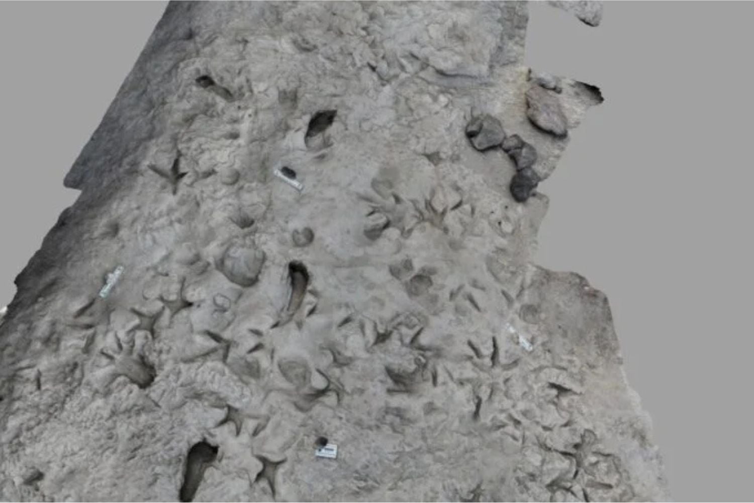 Diseño Sin Título (77)