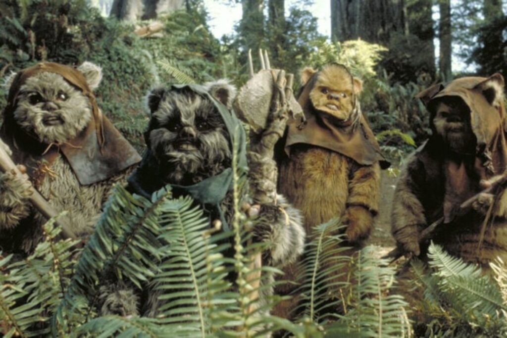 Diseño Sin Título (78)