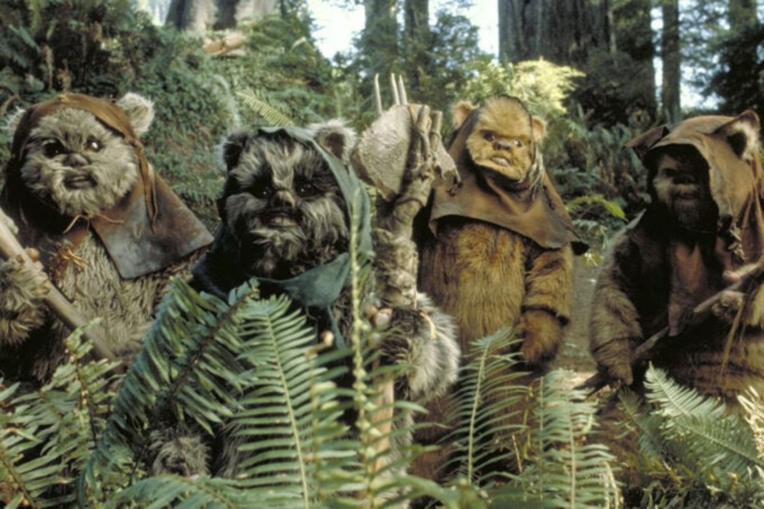 Diseño Sin Título (78)