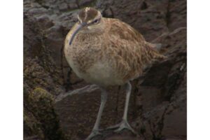 Diseño Sin Título (88)