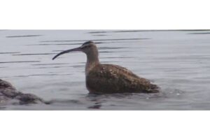 Diseño Sin Título (89)