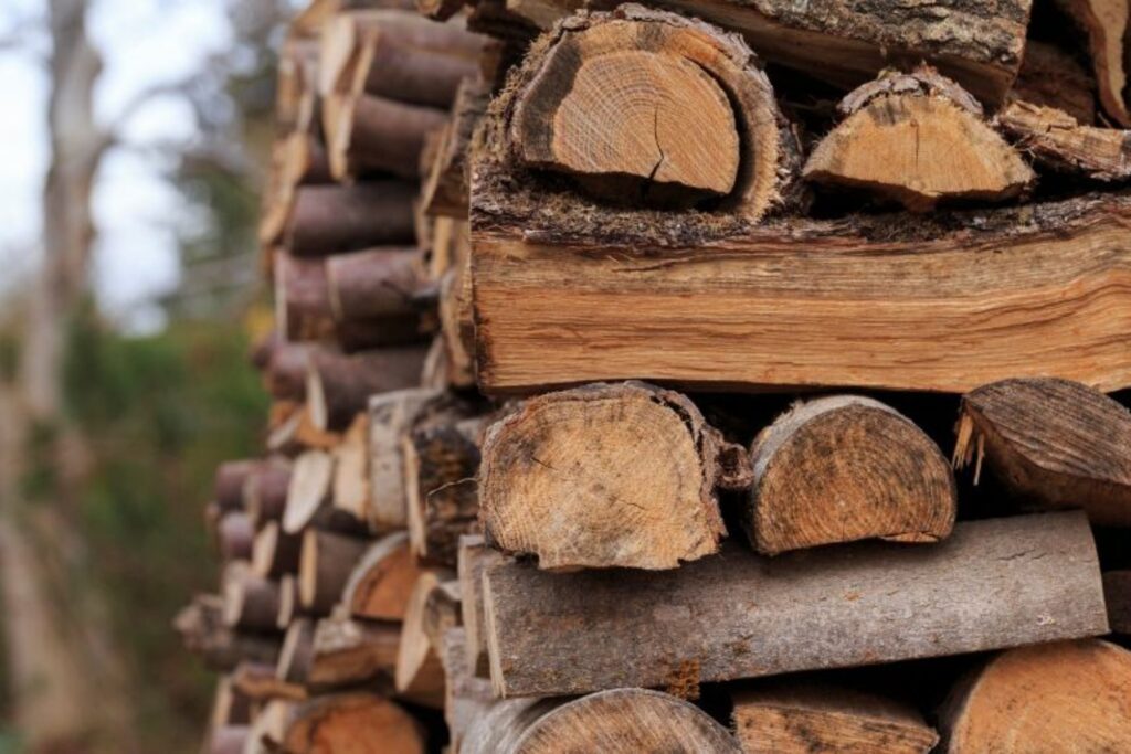 Leña para el invierno