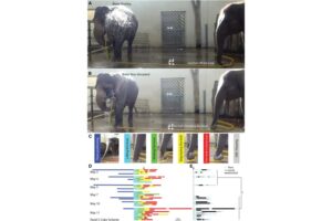 Diseño Sin Título (97)