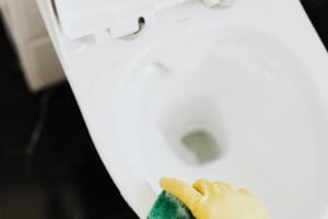 Echar Sal En El Inodoro Para Desinfectar