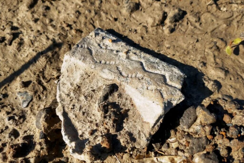 Hallazgo Arqueologico En San Pedro