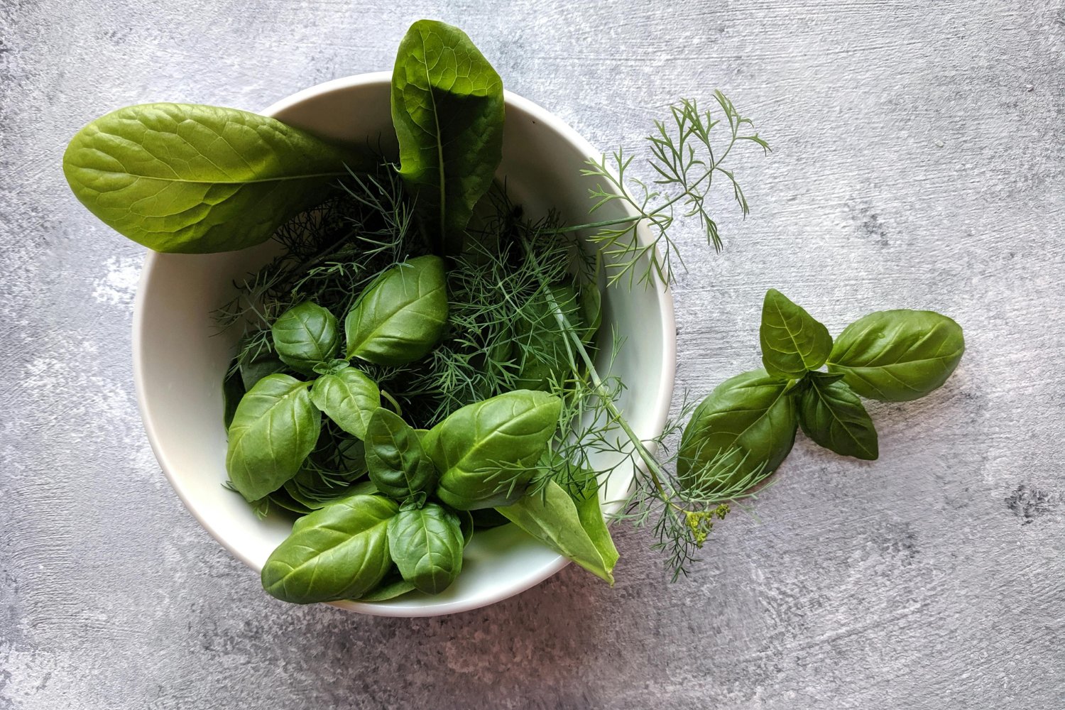 Hierba Para Dolor Articular