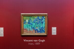 Lirios De Van Gogh