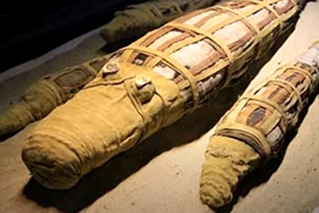 Momia Egipcia En Escaner 3d