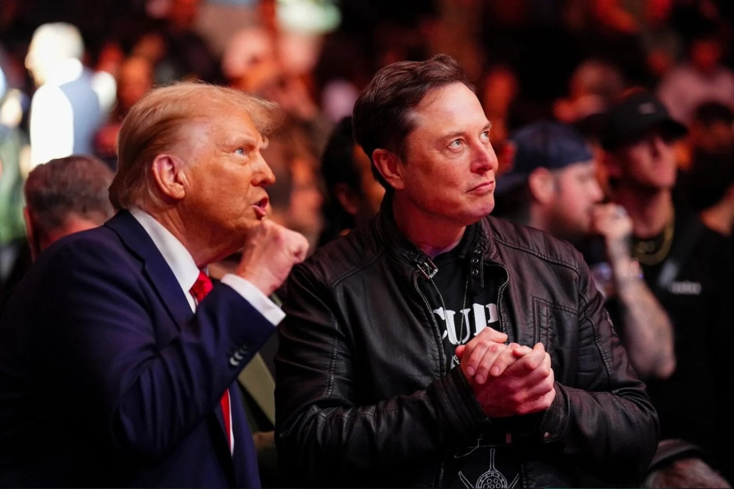 Trump Elon