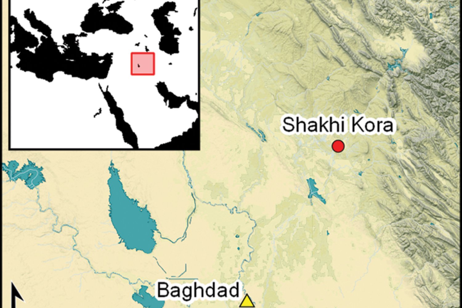 Descubrimiento En Irak