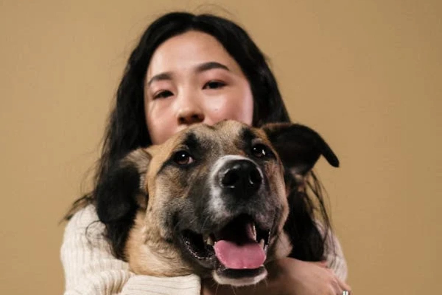 ¿Es cierto que los perros se parecen a sus dueños? Un estudio revela la verdad