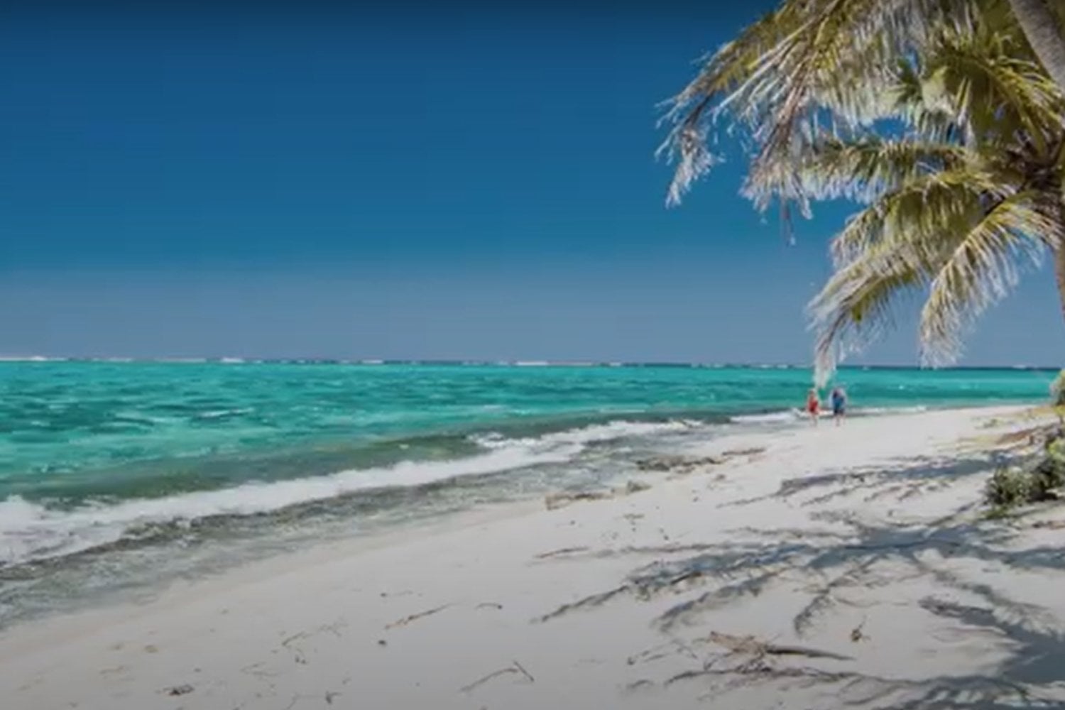 Vanuatu cambio climático Corte Internacional