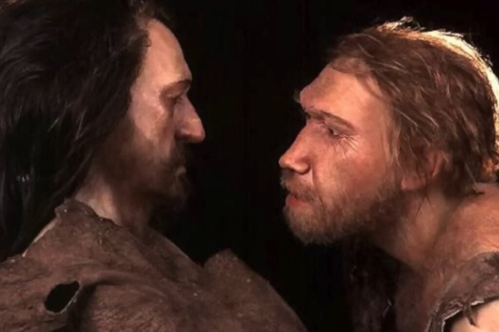 nuevas claves sobre extinciones, azar y encuentros entre especies