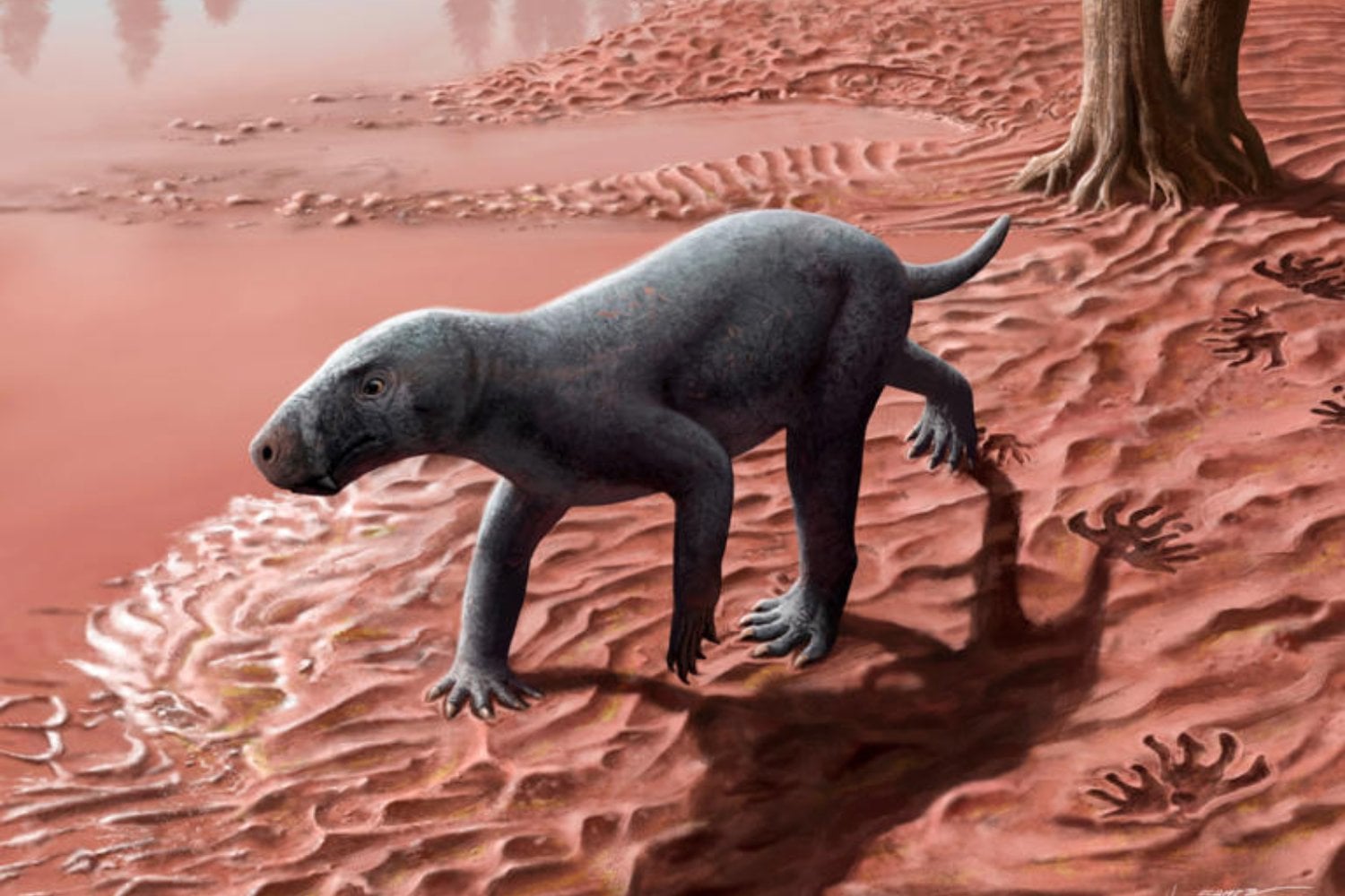 hallazgo prehistórico: el gorgonopsio más antiguo, un depredador clave en la evolución de los mamíferos