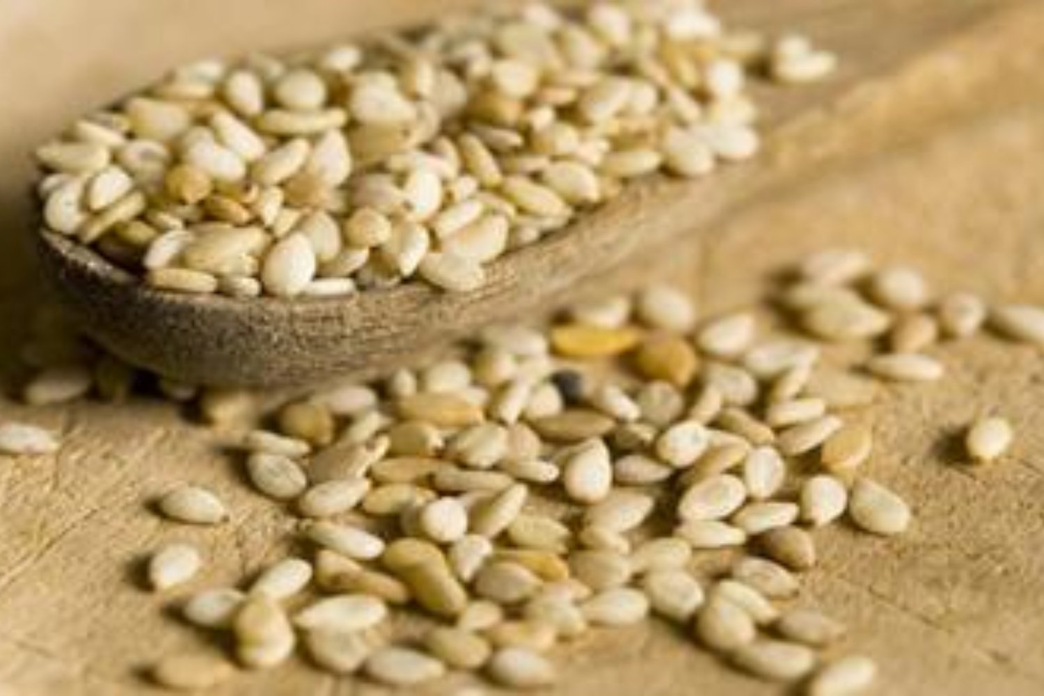 El superalimento ancestral que Bill Gates recomienda para un futuro sostenible: Fonio