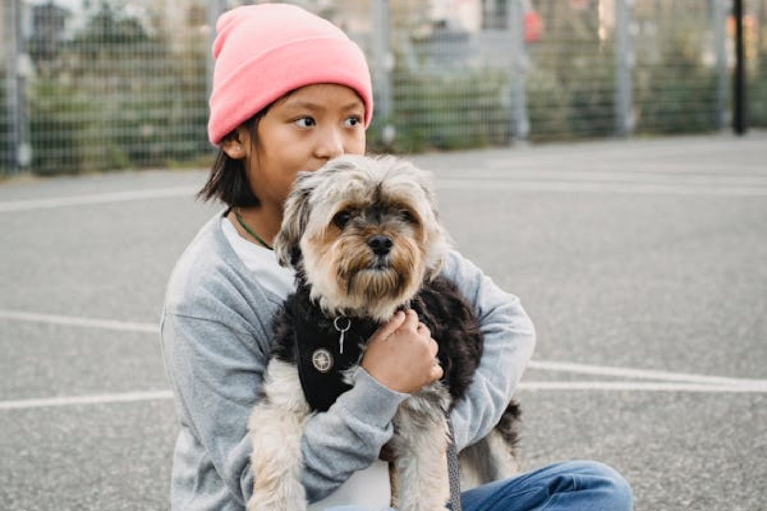 ¿Es cierto que los perros se parecen a sus dueños? Un estudio revela la verdad