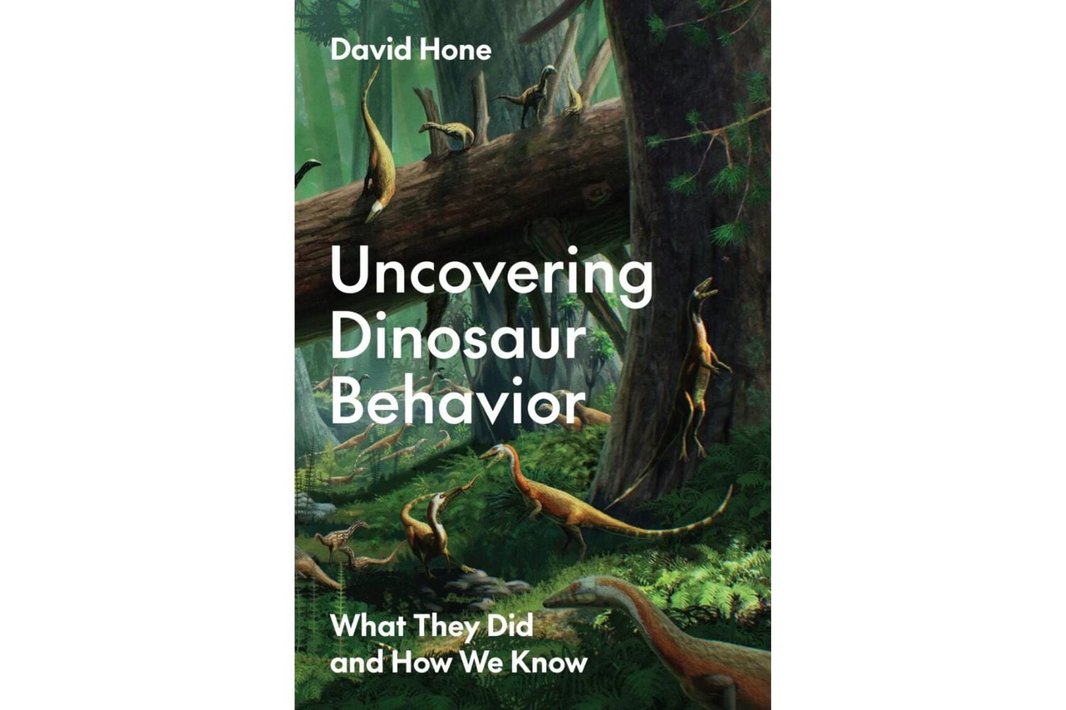 Diseño Sin Título 2024 12 01t143610.946