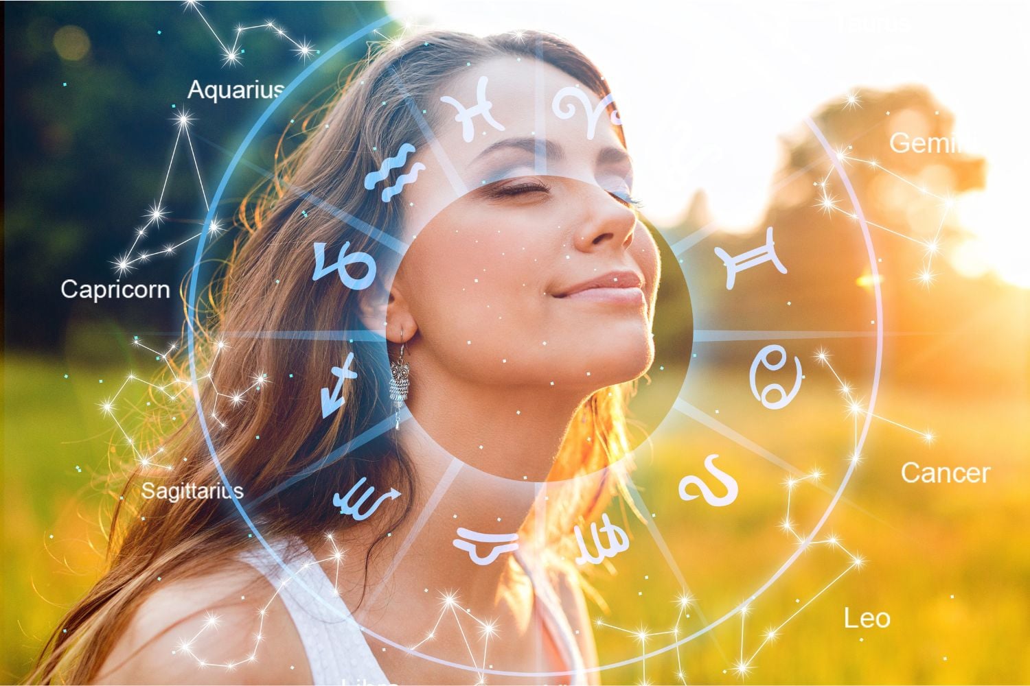 Diseño Sin Título 2024 12 02t121446.645