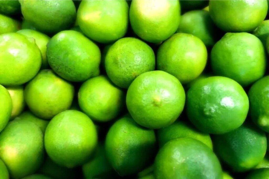 Diseño Sin Título 2024 12 03t164807.697