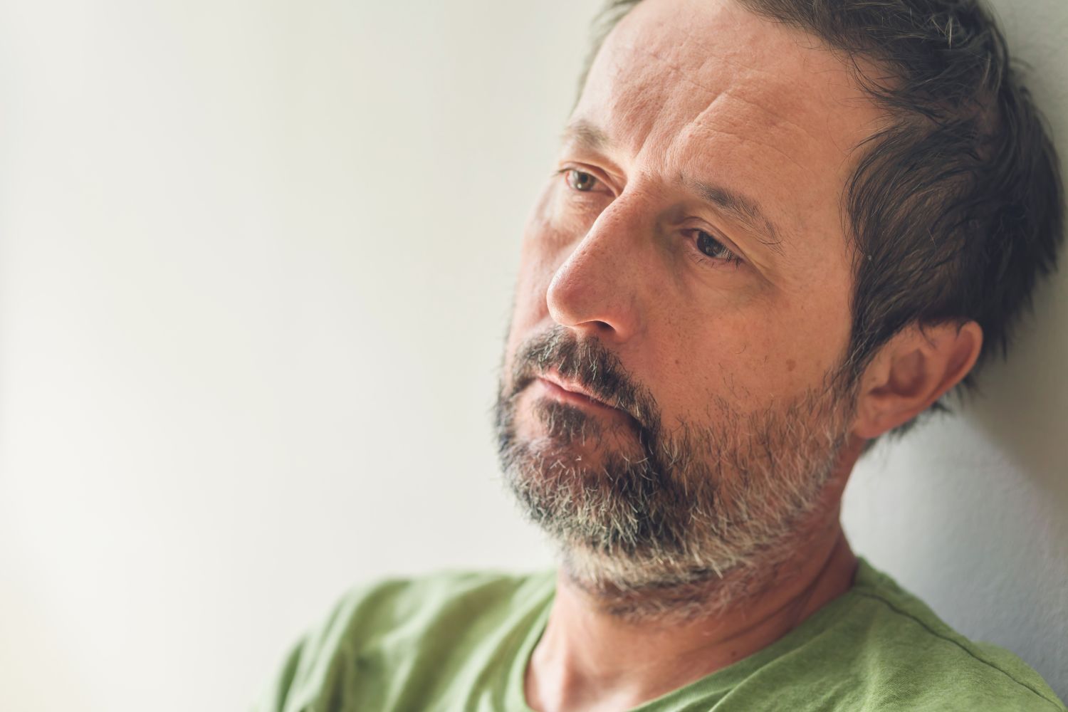 Diseño Sin Título 2024 12 08t095405.405