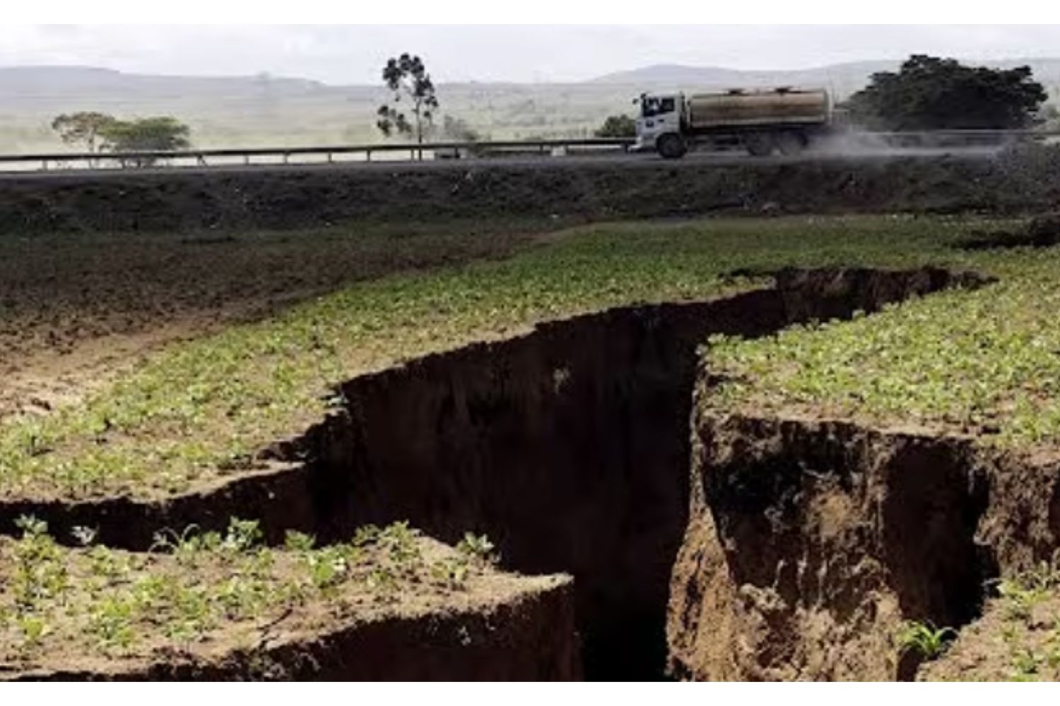 Diseño Sin Título 2024 12 08t141224.563