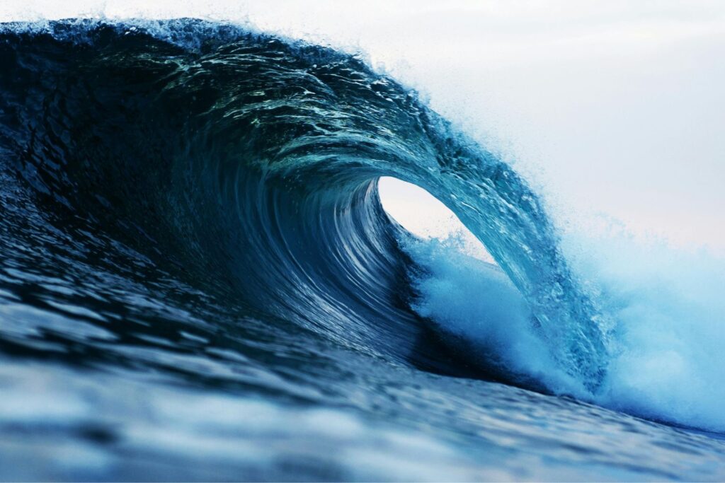 Diseño Sin Título 2024 12 10t070805.941