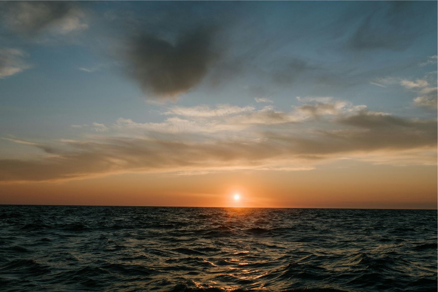 Diseño Sin Título 2024 12 10t070932.645