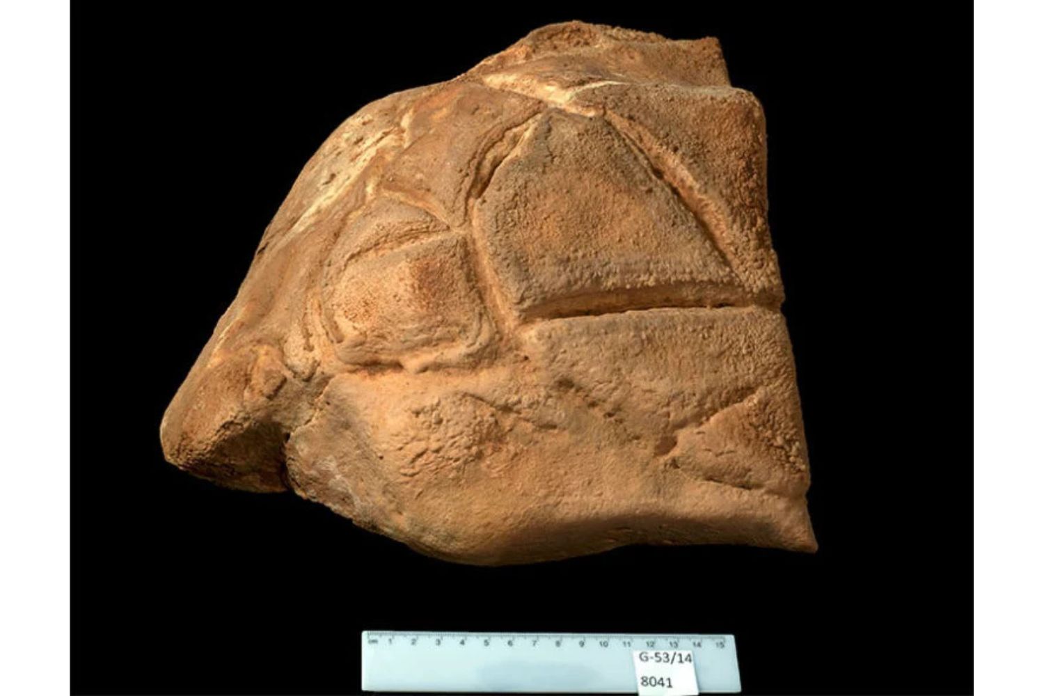 Diseño Sin Título 2024 12 10t162533.569