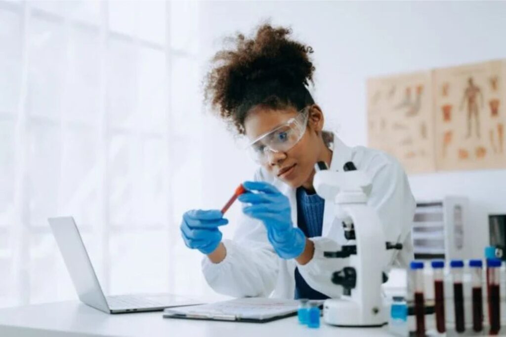 Diseño Sin Título 2024 12 16t132013.159