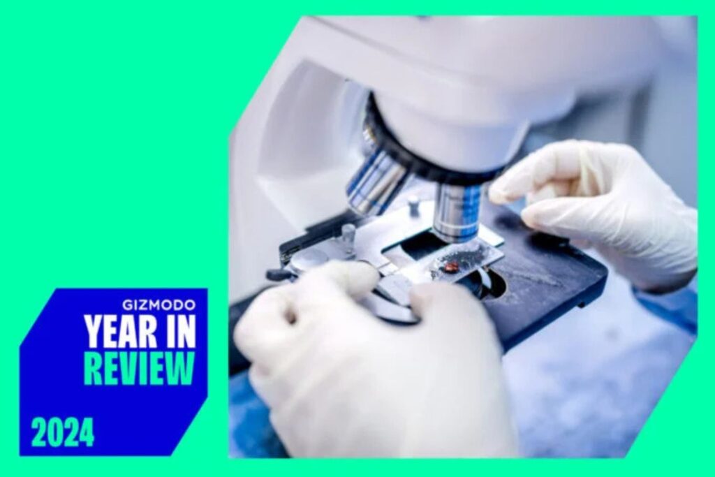 Diseño Sin Título 2024 12 16t133349.225