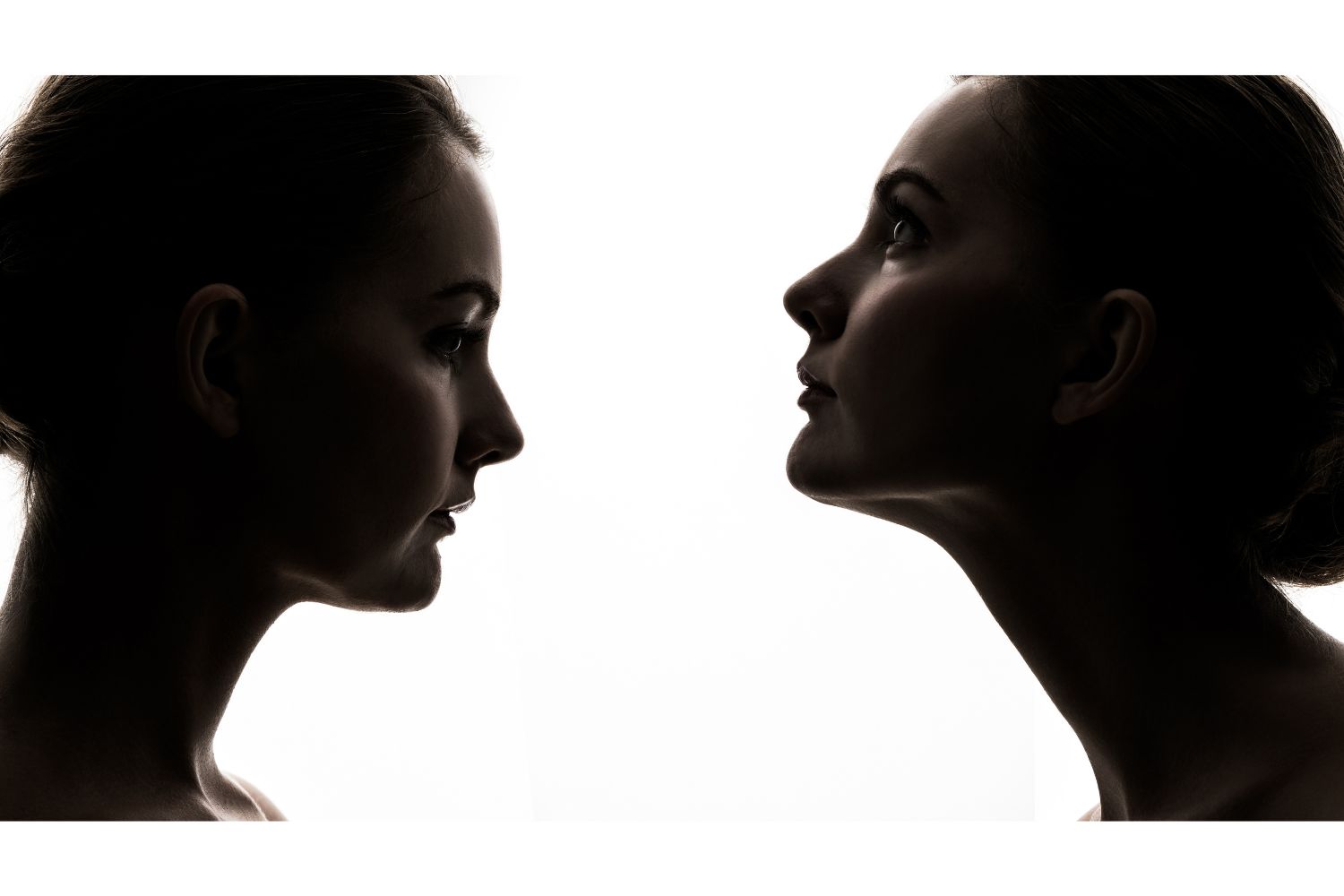 Diseño Sin Título 2024 12 17t151004.522