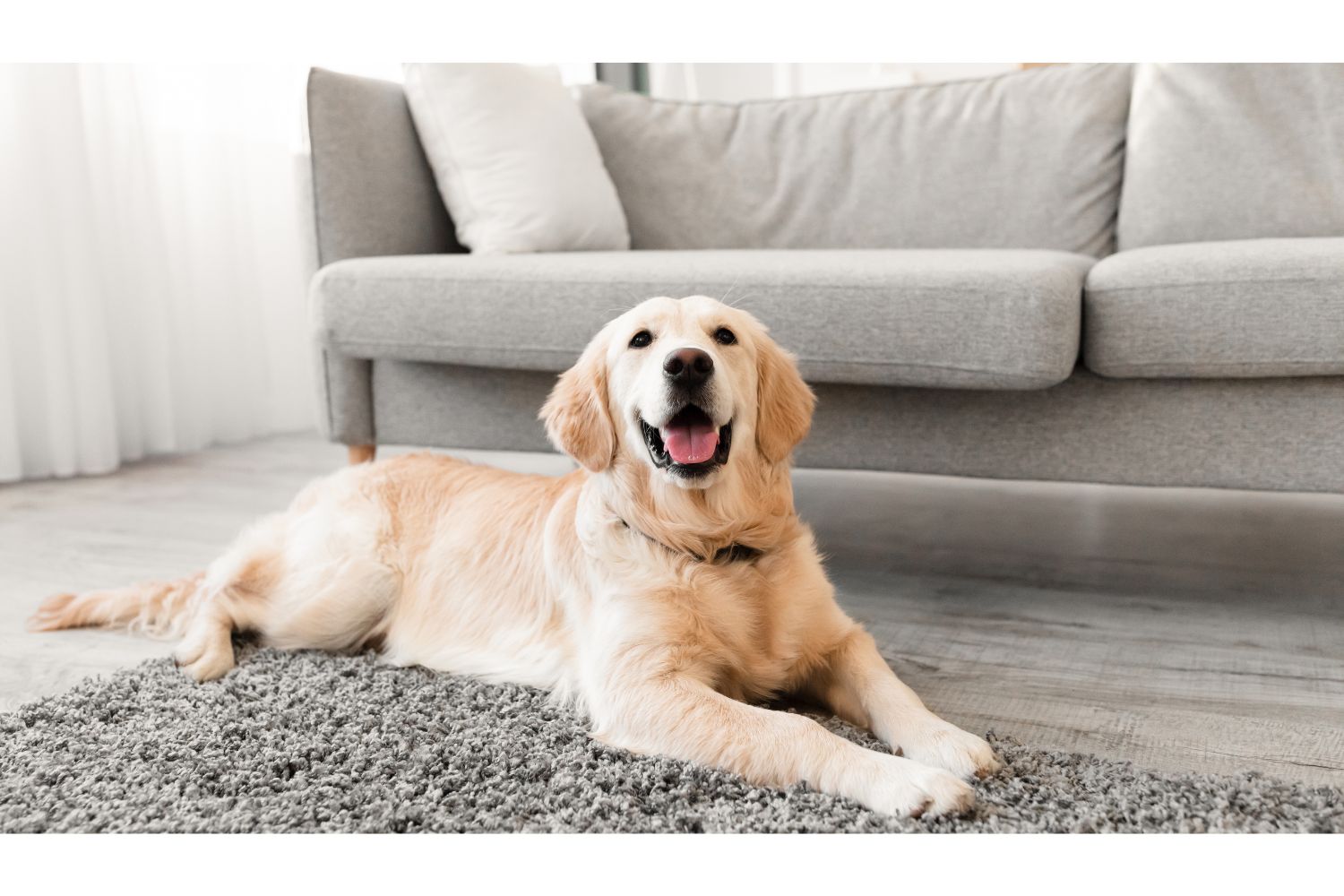 Diseño Sin Título 2024 12 18t133947.781