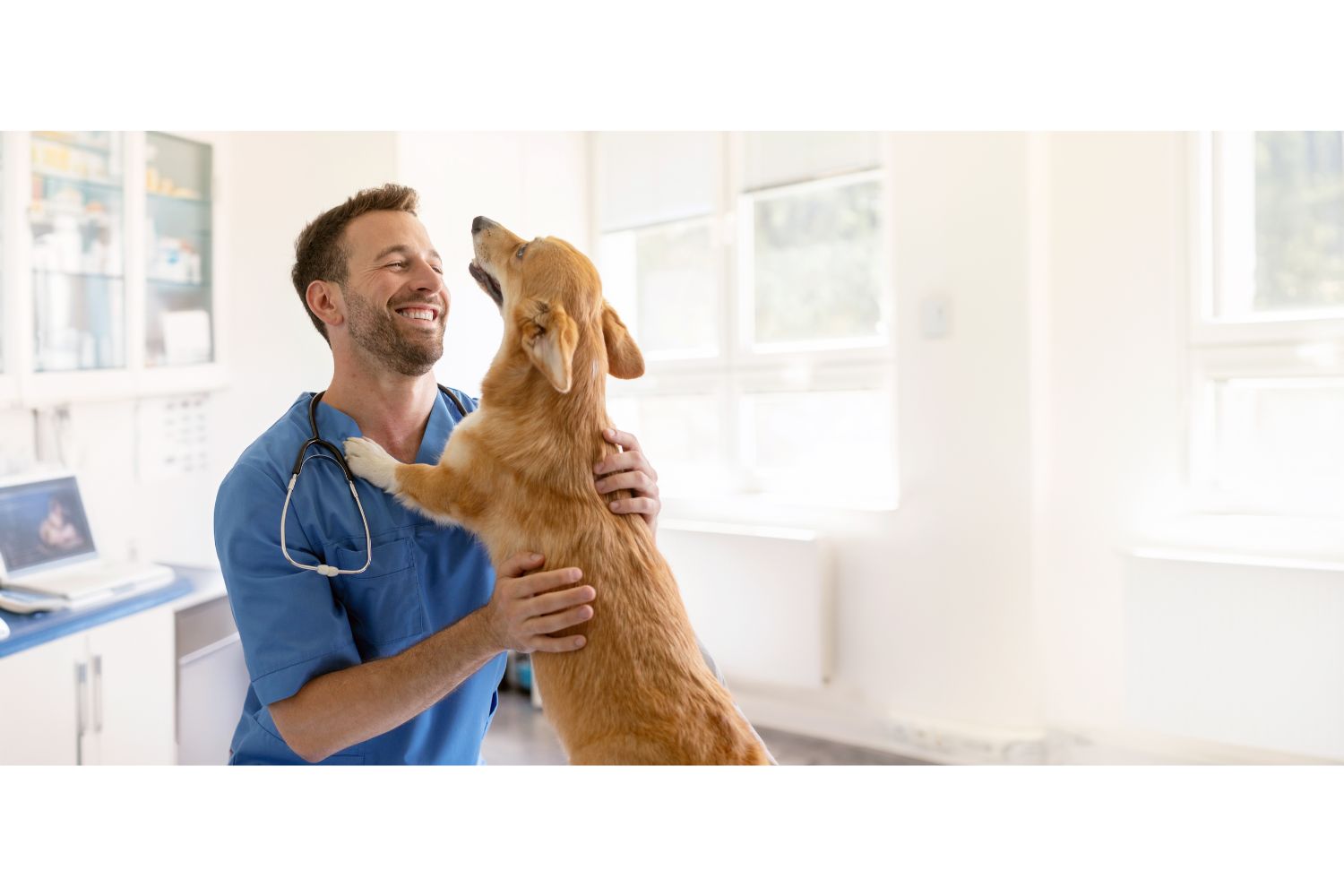 Diseño Sin Título 2024 12 18t134048.380