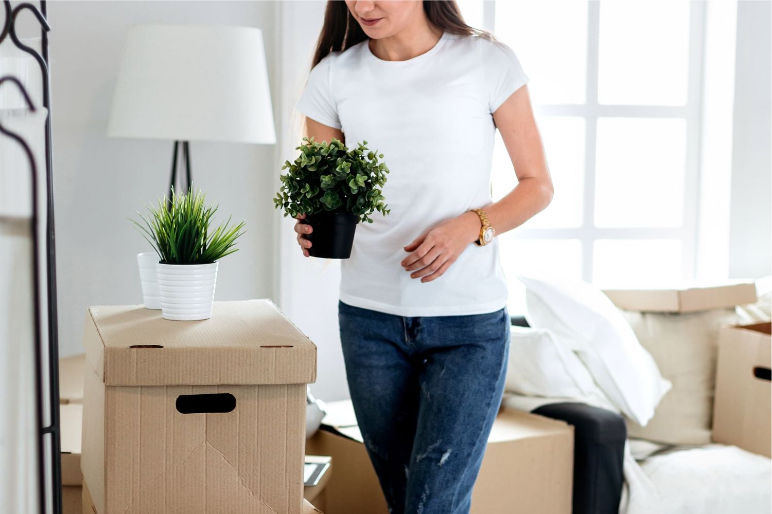 Diseño Sin Título 2024 12 25t153233.314