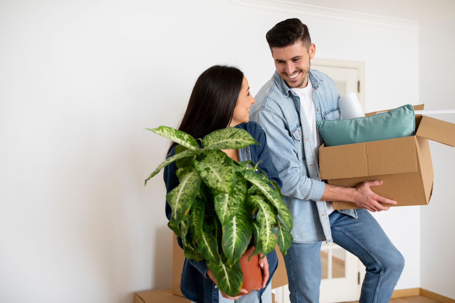 Diseño Sin Título 2024 12 25t153515.288