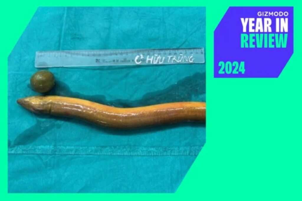 Diseño Sin Título 2024 12 26t164850.139
