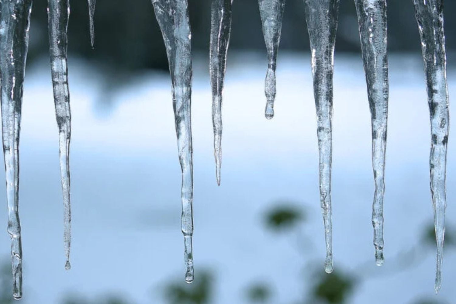 Diseño Sin Título 2024 12 26t170802.795