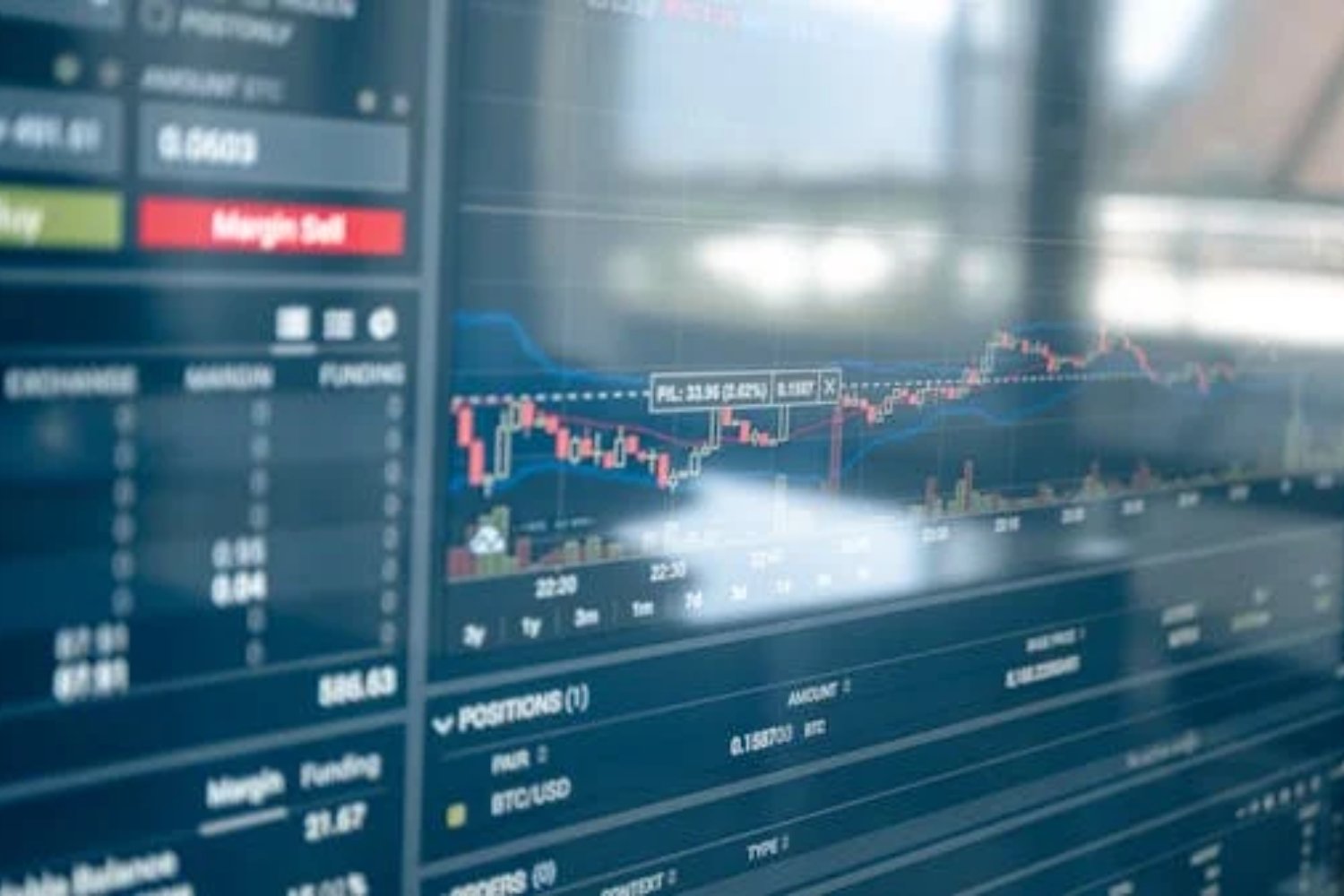 La fiebre de la "pedomoneda": ¿qué es y por qué está causando furor?